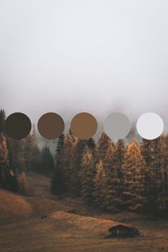 a field with trees and fog in the background that has five different shades of brown