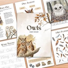 several owls are shown on the front and back pages of an owl study book