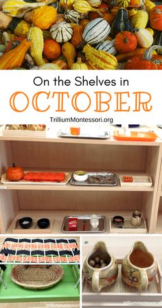 there are pictures of pumpkins and squash in the shelves with text overlay that says on the shelves in october