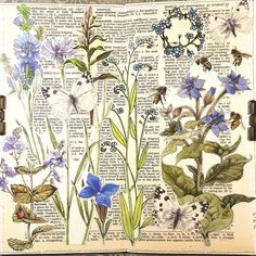 an open book with flowers and butterflies on it