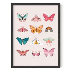 a framed print with different butterflies in pink and blue on the bottom, including one large butterfly