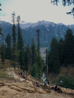 several people are hiking up a hill with mountains in the background and trees on either side