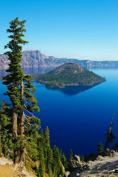 a large body of water surrounded by trees and mountains on a sunny day with blue sky