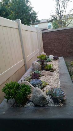 an outdoor garden with rocks and succulents in the center, along side a fence