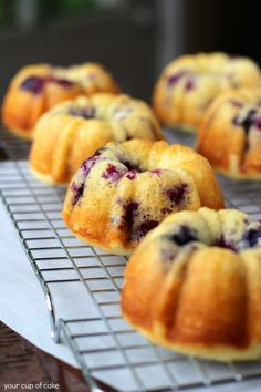 blueberry muffins cooling on a wire rack