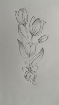 a pencil drawing of some flowers on a white paper