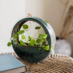 a potted plant sitting on top of a table next to a book