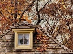 a window on the roof of a house with autumn leaves around it and trees in the background