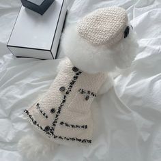 a white poodle wearing a coat and hat sitting on a bed next to a box