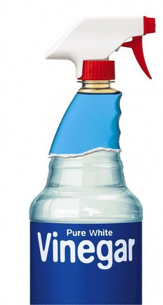 a bottle of vinegar cleaner on a white background