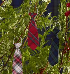 three ties are hanging from a tree in front of blue and red plaid wallpaper