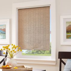 a living room scene with focus on the window and blinds in the windowshade