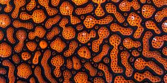 an orange and black background with lots of small holes in the center, all on one side