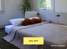 a bed with pillows on it and a plant in the corner next to it that says 15 % off