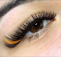 Colourful Eyelash Extensions, Yellow Eyelash Extensions, Orange Lashes Extensions, Pop Of Color Lash Extensions, Halloween Lashes Extensions, Halloween Eyelash Extensions, Yellow Lash Extensions, Orange Lash Extensions