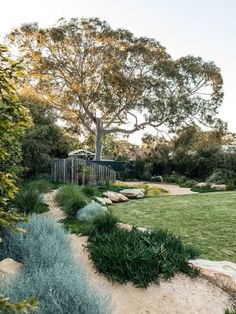 an outdoor area with grass, rocks and trees