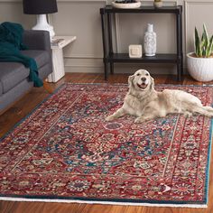 a dog laying on top of a rug in a living room