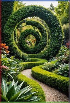 an image of a garden that looks like it's made out of hedges and plants