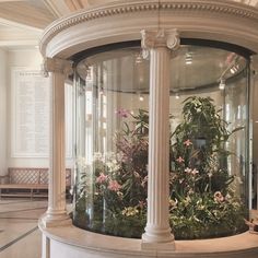 a large glass case with plants inside of it in a room that has columns and pillars