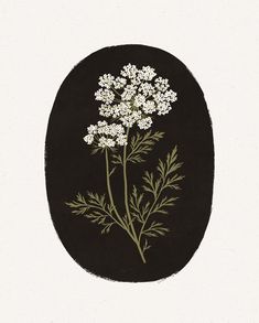 a drawing of some white flowers in a black circle