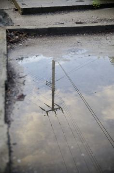 the reflection of an electrical pole in a puddle