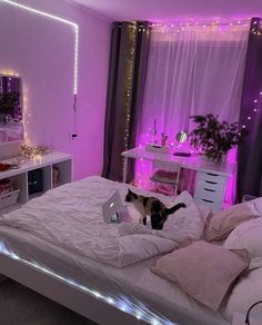 a cat sitting on top of a white bed in a room with purple lights around it