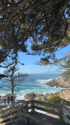 two people are standing on a wooden walkway overlooking the ocean and trees in the foreground