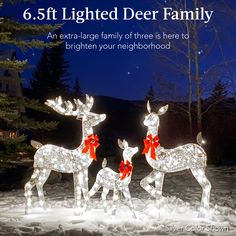 lighted deer family in the snow at night