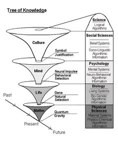 Scholarship for PhD (@ScholarshipfPhd) on X Philosophy Theories, Tree Of Knowledge, Philosophy Of Science, Systems Thinking, Matter Science, Knowledge Management, Critical Thinking Skills, Thinking Skills