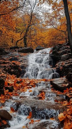 a small waterfall in the middle of a forest with leaves on the ground and trees around it