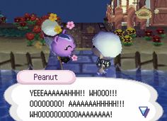 an animal crossing game screen with the text'peanut '