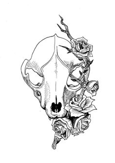 a black and white drawing of a cow's skull with roses on the side