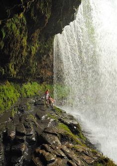 a person standing in front of a waterfall with a dog on the rocks next to it