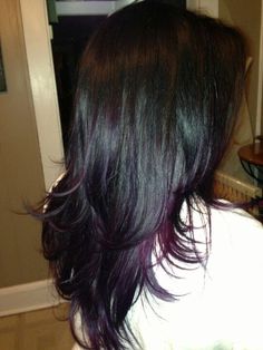 Purple Ends On Black Hair, Plum Hair Highlights, Subtle Purple Highlights, Ombre Purple Hair, Black Hair With Purple, Black And Purple Hair, Purple Highlights Brown Hair, Purple Black Hair, Purple Brown Hair