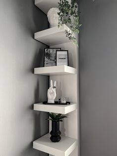 a white shelf with some plants and pictures on it's sides in a corner