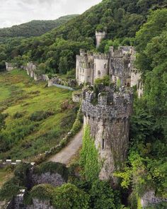 an aerial view of a castle surrounded by trees