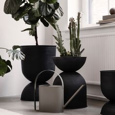 three black vases with plants in them sitting on the floor next to a window