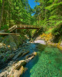 a wooden bridge over a river in the woods with clear blue water and green trees