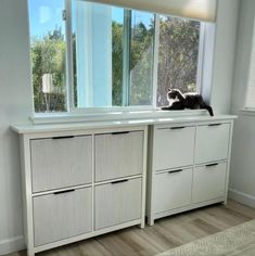 a black and white cat sitting on top of a window sill in a room