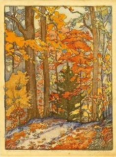 an image of autumn trees in the woods