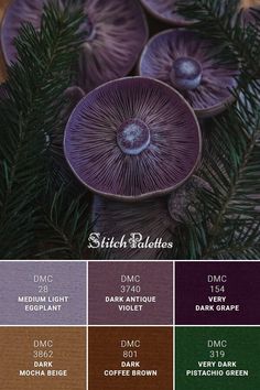 some purple mushrooms are in the middle of a pine tree with dark brown and green leaves