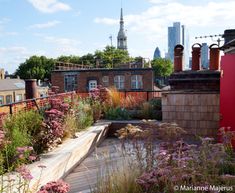 the rooftop garden is full of colorful flowers and plants, along with an urban skyline in the background