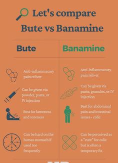 the differences between banana and peanut butter infographical poster with information about how to use it