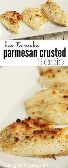 how to make parmesan crusted tilapia on a white platter