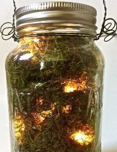 a jar filled with lots of green moss