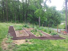 an outdoor garden area with various plants and dirt in the foreground, surrounded by trees