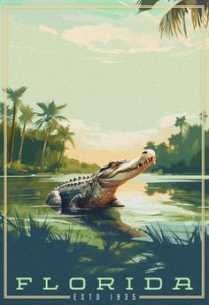 Digital painting of a lone alligator resting in a shallow swamp, earth tones, the title Florida is positioned at the bottom. Myakka River State Park, The Everglades, Everglades National Park, Scene Art, Salou, Stock Art, National Park Posters, Crocodiles