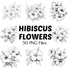 hibiscus flowers in black and white with the words hibiscus flowers 50 png files