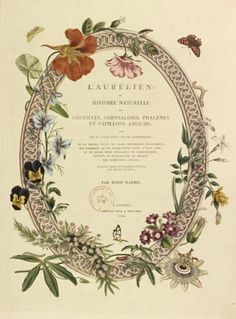 an ornate frame with flowers and butterflies around it, in the middle of a page