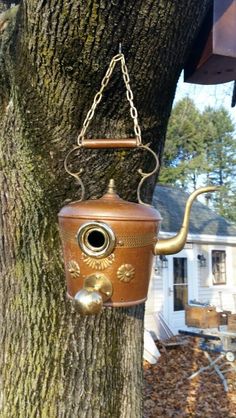 a bird feeder hanging from the side of a tree